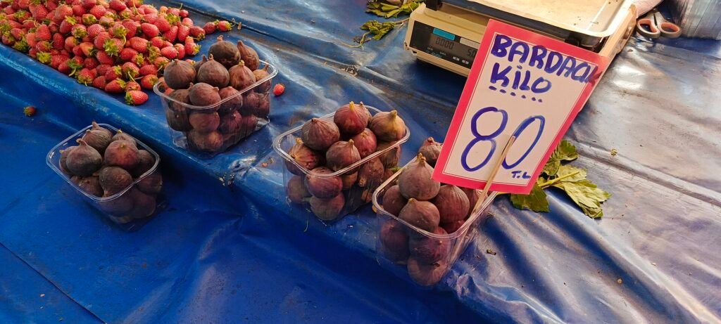 Bardacık Figs in İzmir: Season, How to Choose and Store Them