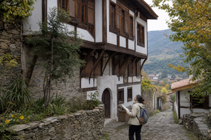 Traditional hımış timber-frame houses along a lane in Birgi