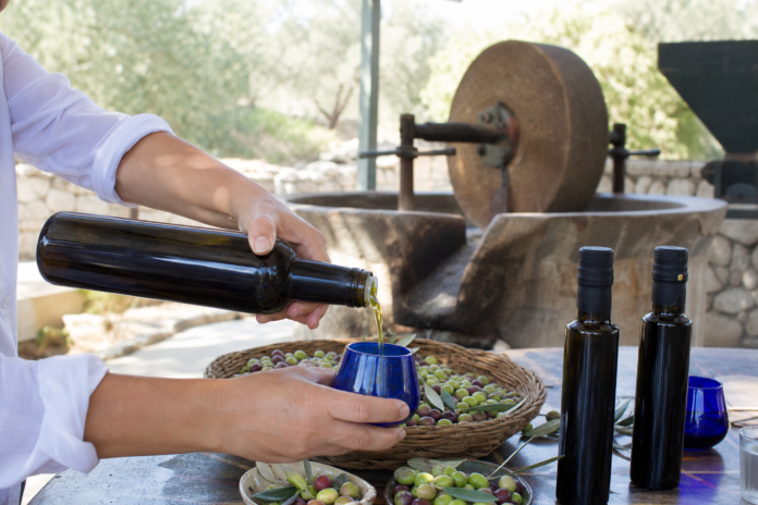Aegean olive oil during İzmir’s olive-harvest season